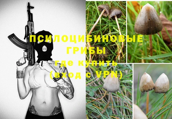 PSILOCYBIN Богородицк