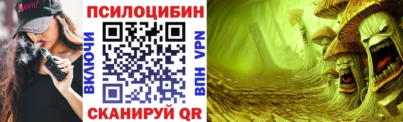Галлюциногенные грибы Psilocybine cubensis Дмитровск